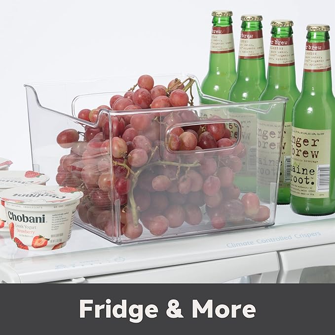 Oggi Storage Bin With Handles - Deep (9.75" x 9" x 6") - Ideal for Kitchen Organization, Pantry Storage, Fridge Organizing, Clear (Pack of 2)