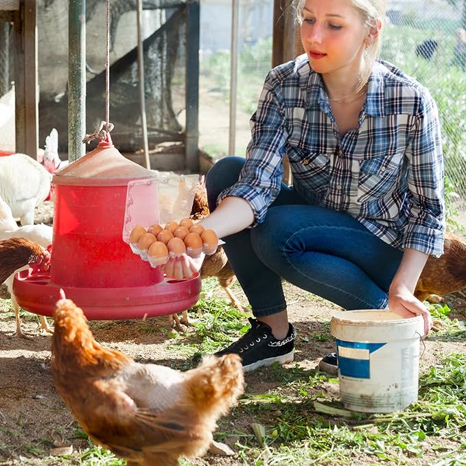 60Pack Duck Egg Cartons Cheap Bulk 1 Dozen Jumbo Egg Cartons Extra Large Egg Containers for Home Ranch Chicken Farm, Commercial Business Market Display, 3x4 Grids