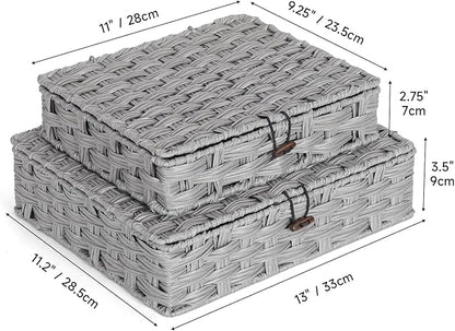 Plastic Wicker Storage Baskets with Lids, 2-Pack Woven Rattan Organizer Bins with Locking Button, Decorative Flat Storage Boxes, 11"x9.25"x2.75" & 13"x11.2"x3.5", Gray