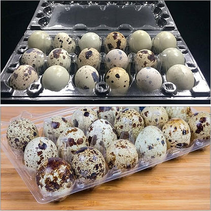 JAPCHET 100 Pack Stackable Plastic Egg Cartons - Reusable, Cheap Bulk, 18 Grid, Quail Egg Container