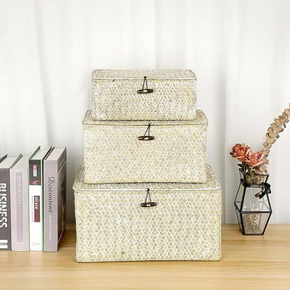 Hipiwe Seagrass Storage Basket Bins with Lid, Handwoven Wicker Shelf Baskets Bin Rectangular Household Basket Organizer Boxes for Shelf Closet Bedroom Home Decor, Whitewash Medium