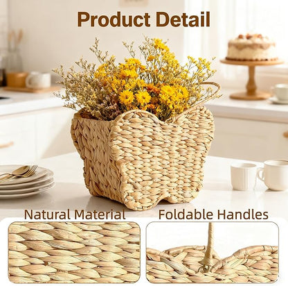 Butterfly Wicker Storage Basket, Natural Water Hyacinth, Handmade Organizer for Toys, Picnics, Home (Butterfly shaped)