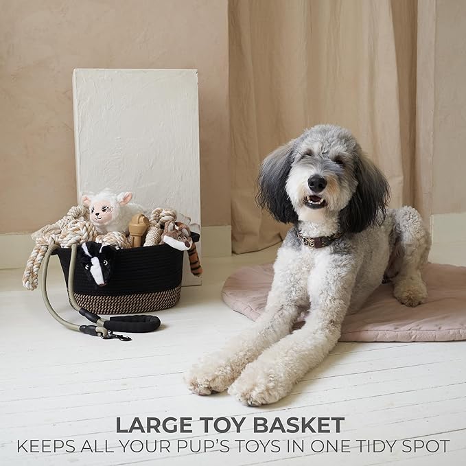 Stylish Cotton Rope Storage Basket For Dog Toys, Magazines or Books - The Perfect Woven Bin with Handles For Everyday Organization Reduces Clutter in Your Rooms - A Decorative Gift & Storage Box