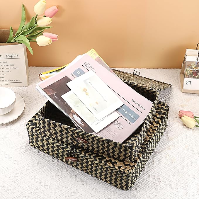 Hipiwe Woven Storage Basket with lid - Flat Wicker Storage Baskets Bins Natural Seagrass Storage Baskets Box for Shelf Home Decor, Set of 2, Blacks Strips