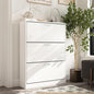 AGOTENI Shoe Cabinet with 3 Flip Drawers, Shoe Storage Organizer with 2-Tier Shelf, Freestanding Shoe Rack for Entryway Hallway, Living Room, White