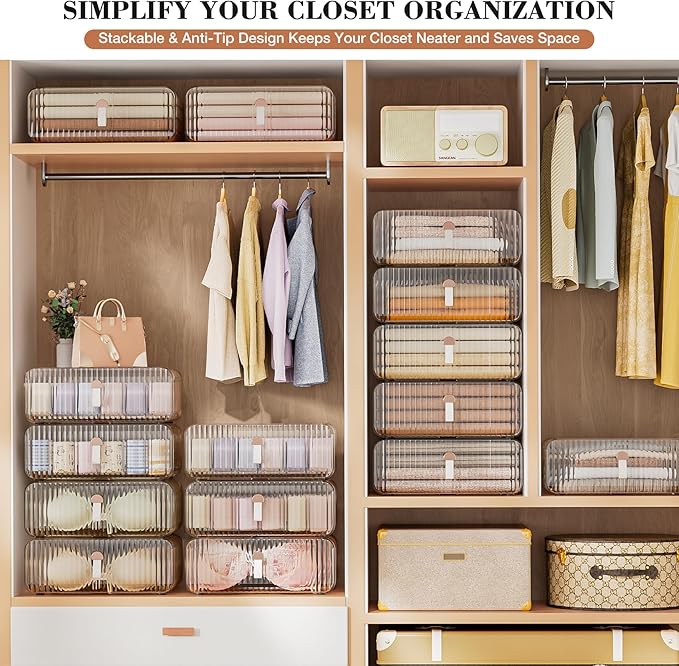 Neprock Underwear Drawer Organizer - Stackable Bra Organizer for Closet, 1 Cell Clear Acrylic Bra Storage Box, Closet Organizers and Storage for Lingerie, Undergarment, Baby Clothes, Scarf