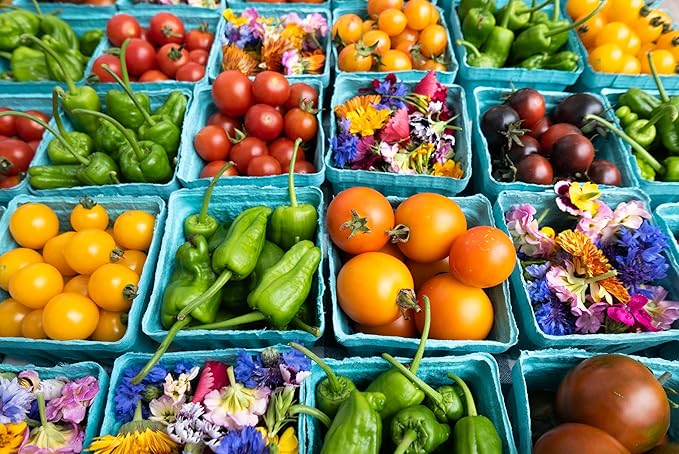 Hampton Distribution 15 Pack Green Berry Basket 1 Pint, Pulp Fiber Vented Produce Containers Farmers Market Basket, Fruit & Vegetable Containers