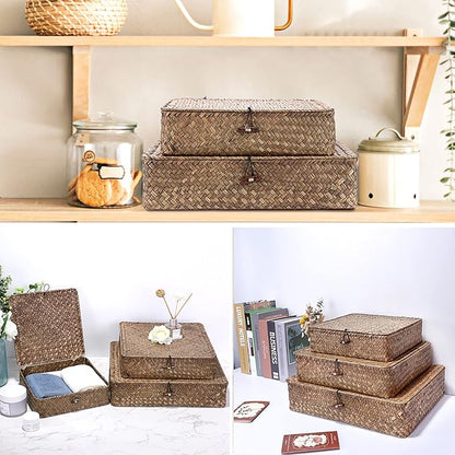 Hipiwe Flat Wicker Basket Bins with Lid - Set of 3 Handwoven Seagrass Storage Basket Shelf Baskets Boxes Multipurpose Home Organizer Bins Boxes for Shelf Pantry Closet,Large Size 14.8"x13" Coffee
