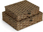Plastic Wicker Storage Baskets with Lids, 2-Pack Woven Rattan Organizer Bins with Locking Button, Decorative Flat Storage Boxes, 11"x9.25"x2.75" & 13"x11.2"x3.5", Brown