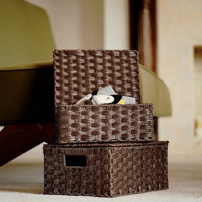 GRANNY SAYS Bundle of 3-Pack Wicker Baskets Storage & 1-Pack Over Door Hanging Organizer