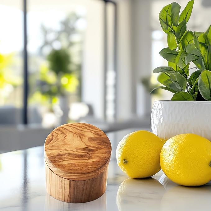 Totally Bamboo Rock & Branch Olive Wood Angled Salt Cellar Storage Box with Magnetic Swivel Lid, 3.8 Ounce Capacity