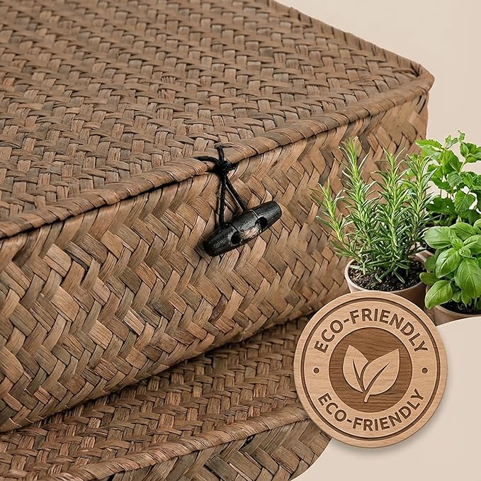 Elsjoy 2 Pack Flat Wicker Woven Storage Bins with Lid and Wood Toggle, Natural Handmade Seagrass Basket Set, Rattan Organizer Bins for Shelf, Closet, Bedroom
