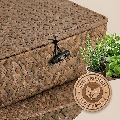 Elsjoy 2 Pack Flat Wicker Woven Storage Bins with Lid and Wood Toggle, Natural Handmade Seagrass Basket Set, Rattan Organizer Bins for Shelf, Closet, Bedroom