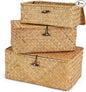3Pcs Wicker Storage Baskets with Lid, Handwoven Seagrass Basket Bins Decorative Storage Rectangular Boxes for Shelves Desktop Home Organizer