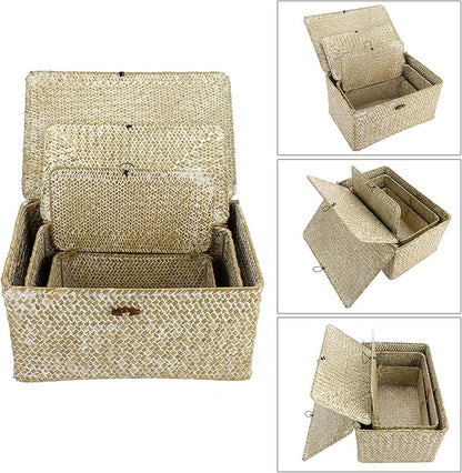 Hipiwe Set of 3 Wicker Storage Baskets with Lid - Large Handwoven Seagrass Shelf Basket Bins Rectangular Nesting Household Organizer Boxes for Shelf Closet Wardrobe Organizer, Whitewash
