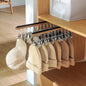 Pull Out Hat Rack for Closet, Sliding Hooks Hanger Rack with Clips for Bras Caps Underwear Socks Scarves Gloves Handkerchiefs, Dual Side 12 Clips Rail, 2 Pcs