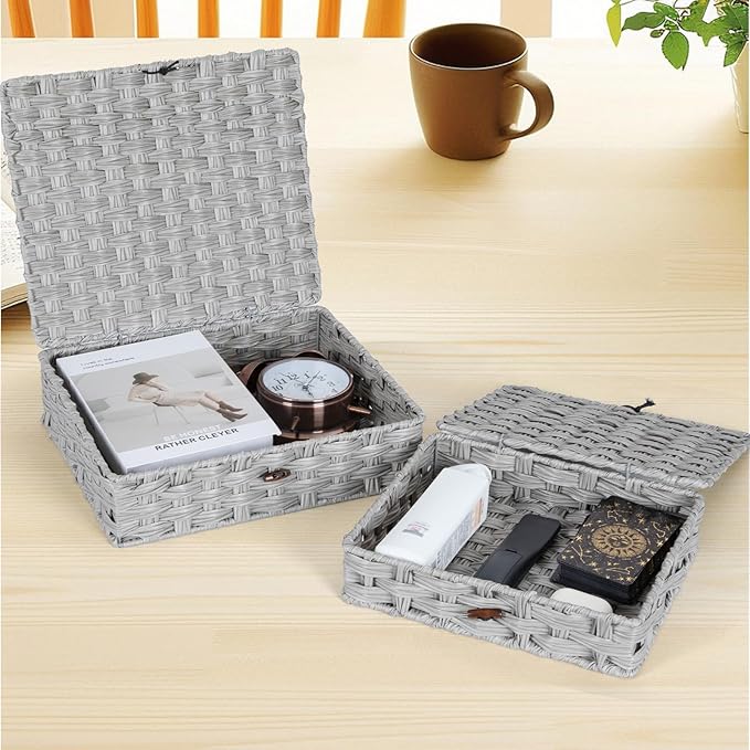 Plastic Wicker Storage Baskets with Lids, 2-Pack Woven Rattan Organizer Bins with Locking Button, Decorative Flat Storage Boxes, 11"x9.25"x2.75" & 13"x11.2"x3.5", Gray