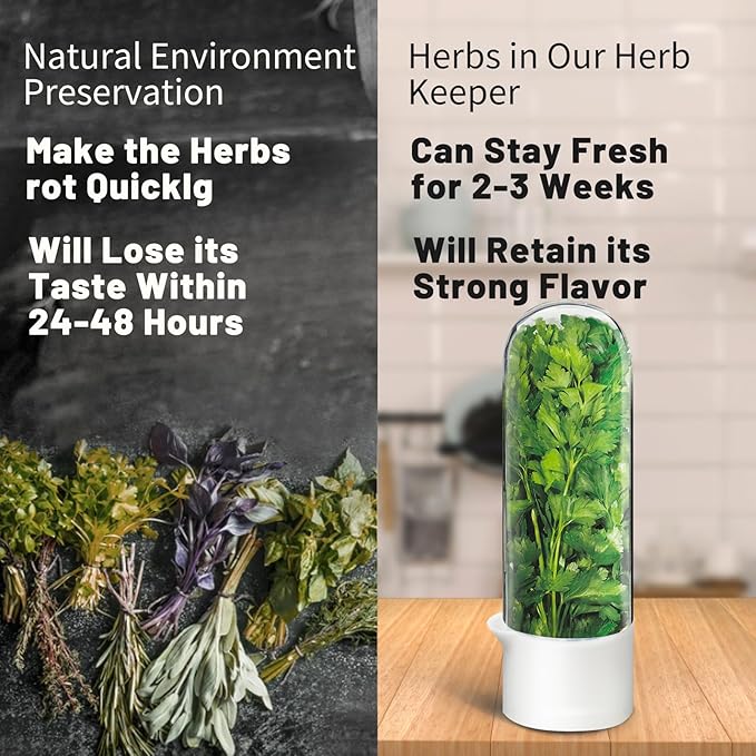 Herb Keeper for Refrigerator, Herb Saver for Refrigerator, Cilantro Container, Vegetable Preservation Bottle for Cilantro, Mint, Parsley, Asparagus, Keeps Greens Fresh for 2-3 Weeks (3PCS)