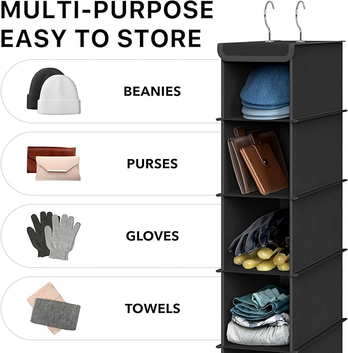 Simple Houseware 10 Shelves Closet Hanging Shoe Organizer, Black