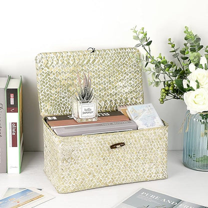 Hipiwe Seagrass Storage Basket Bins with Lid, Handwoven Wicker Shelf Baskets Bin Rectangular Household Basket Organizer Boxes for Shelf Closet Bedroom Home Decor, Whitewash Medium