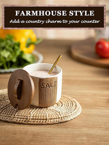 Salt Container for Countertop, Ceramic Salt Cellar with Lid and Spoons, 10 OZ Salt Bowl Holder for Mother's Day, White