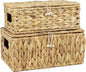 Set of 2 Wicker Baskets with Lid, Small Woven Wicker Storage Bins, Natural Water Hyacinth Basket Multipurpose Decorative Storage Boxes for Shelf Organizer (11.2" x 7.8" x 5.1" + 10" x 6.1" x 3.8")