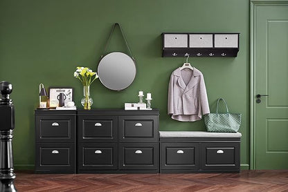 SoBuy Small Shoe Cabinet, Slim Shoe Rack 2 Flip-Drawers, Thin Shoe Storage Cupboard Organizer Unit for Entryway and Hallway, Black FSR78-SCH