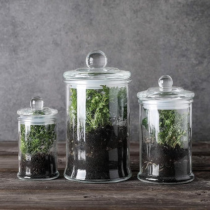 Glass Apothecary Jars with Lids – Set of 3 Clear Bathroom Storage Containers for Cotton Balls, Swabs & Accessories, Decorative Vanity Organizer