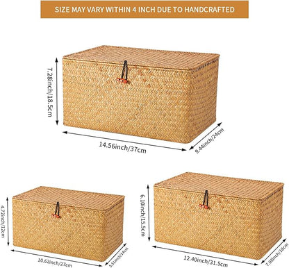 FEILANDUO Wicker Shelf Basket with Lids, Seagrass Storage Baskets Bins Rectangular Woven Baskets Boxes for Organizing Multipurpose Container Boho Home Decor Set of 3