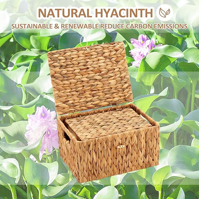 Edergoo Wicker Basket with Lid, Water Hyacinth Storage Baskets for Shelves, Large & Small Storage Basket with Lid and Built-in Handles, Hand Woven Hyacinth Baskets 2 Pack