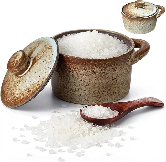 2 Pack Speckled Ceramic Salt Cellar with Lid – Rustic Farmhouse Ceramic Salt Holder, Countertop Bowl, Storage Container, Well Dish Jar for Spices (Retro Color)