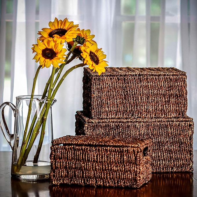 Trademark Innovations Set of 3 Rectangular Seagrass Baskets with Lids, Brown (Small)