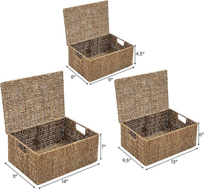 Trademark Innovations Set of 3 Rectangular Seagrass Baskets with Lids, Natural (Small)