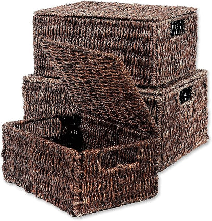 Trademark Innovations Set of 3 Rectangular Seagrass Baskets with Lids, Brown (Small)