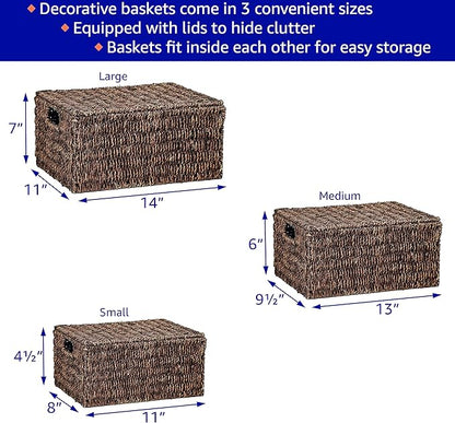 Trademark Innovations Set of 3 Rectangular Seagrass Baskets with Lids, Brown (Small)