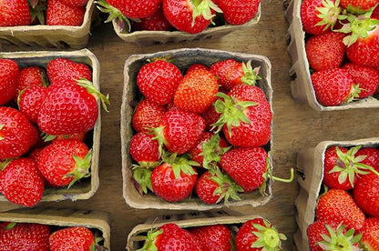 15 Pack Natural Berry Basket 1 Pint, Pulp Fiber Vented Produce Containers Farmers Market Basket, Fruit & Vegetable Containers