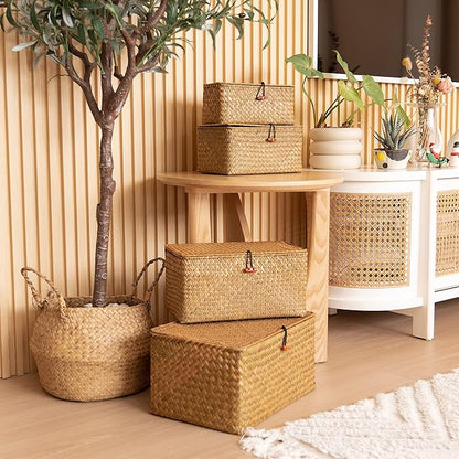 4 Pack, Wicker Baskets with Lids, Nautral Seagrass Storage Baskets, Woven Rectangular Basket Bins, Rattan Storage Organizer for Shelf