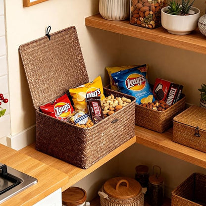 Nonam Seagrass Storage Large Basket with Lid,Wicker Basket Storage Bin with Lid for Shelves,Boho Decor,Handwoven Shelf Basket for Organizing-Storage Container Box for Home Organization-Coffee