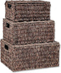 Trademark Innovations Set of 3 Rectangular Seagrass Baskets with Lids, Brown (Small)