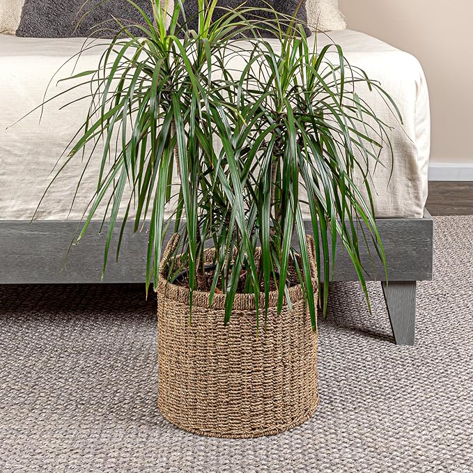 Household Essentials Round Seagrass Basket with Handles, Natural